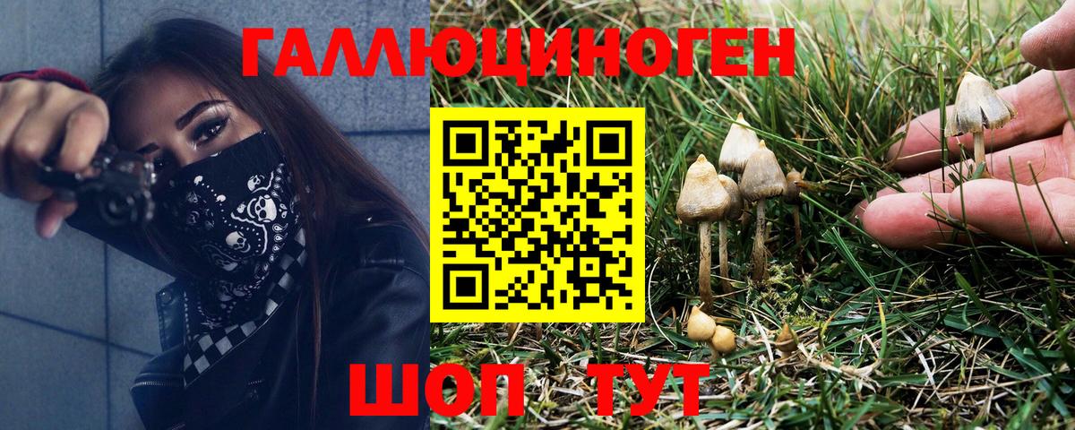 Псилоцибиновые грибы GOLDEN TEACHER  Псилоцибиновые грибы Psilocybine cubensis  Вход с VPN  Черногорск 