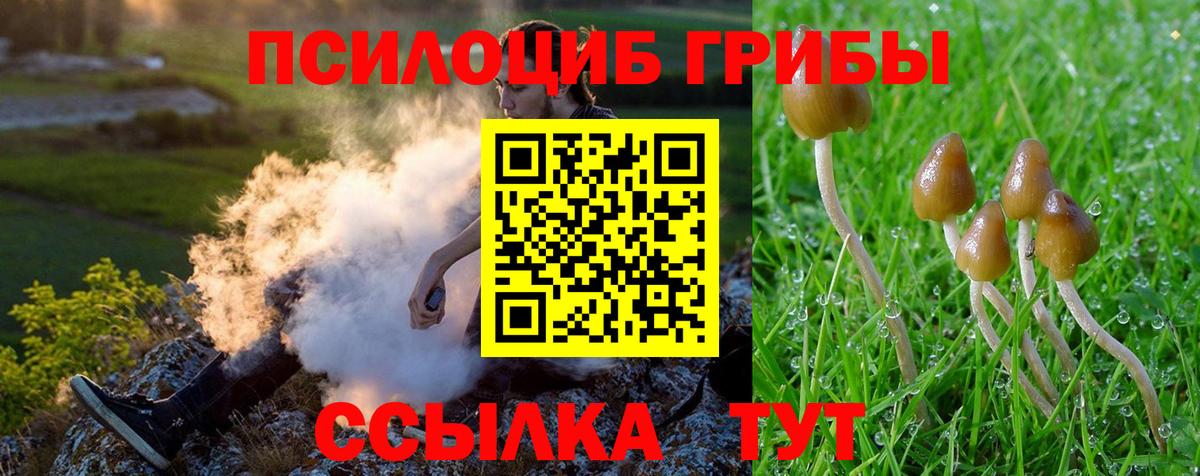Галлюциногенные грибы MAGIC MUSHROOMS Черногорск